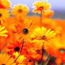 재무설계 이미지