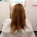 미쁜살롱 이미지