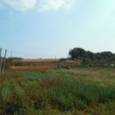 교로1리 마을회관 이미지