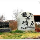 진도특산