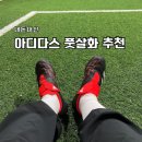 뉴 스포츠클럽 | 여성 풋살화 추천 아디다스 프레데터 클럽 키즈 240 사이즈 내돈내산 후기