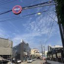 남도메디컬 | 해남 맛집 고구마빵의 몽소베이커리 솔직후기(내돈내산)