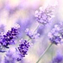 메디칼허브약국 이미지