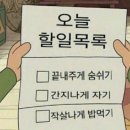 최고점핑다이어트 - 부평구 | 최고점핑다이어트