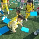 세인 이미지