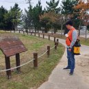 경포대초등학교 이미지