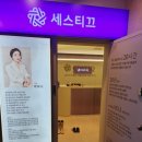 세스티끄 - 강남구 학동로 209 | 세스티끄