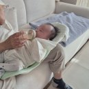 스펙트라베이비맘 | 대전 유성구 산후도우미 4주 둘째 이용후기 "베이비맘케어" 내돈내산 솔직후기