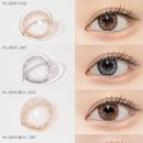 글라스 ONE 위드렌즈 동래점 | 허니 원데이 플러스는 글라스원 위드렌즈 부산동래점으로