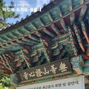 황금코다리무등산점 이미지