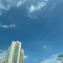 교동부동산중개사무소 네이버블로그