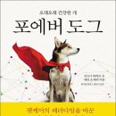 도그지음 이미지