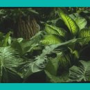 태평양마트 이미지