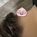 애플민트 티스토리