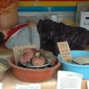 실상사앞 이미지