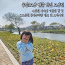 오산천 | 동탄/오산 아이와 가볼만한 곳 공원 오산천 방문후기(벚꽃 명소, 주차 정보)