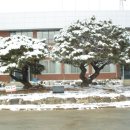 수북면사무소 이미지