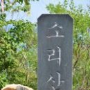 제 213 차 정기산행신청/양평 소리산 ( 479 M) 이미지