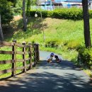 당항포관광지 펜션 이미지