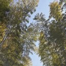 죽순농원식당 이미지