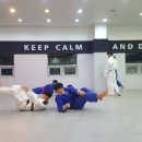 엠핏유도관 이미지