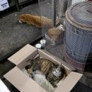 점촌야식 이미지