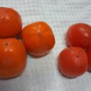 장준농장 이미지