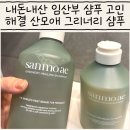 임산부 샴푸 고민 끝 내돈내산 산모애 그리너리 샴푸 후기