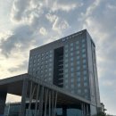 군산 숙소 베스트웨스턴 군산호텔 가성비 좋은 비지니스호텔 후기