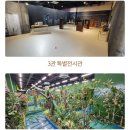 여주곤충박물관 이미지