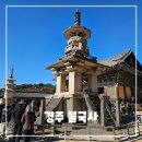 다르게 천천히 | 경주 불국사 산책 후기｜극락전 황금돼지, 다보탑, 석가탑까지 천천히 둘러본 하루