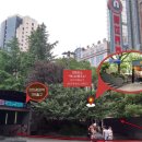 우전 | 상하이 우전 수향마을 투어 내돈내산 후기