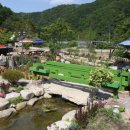 여울애꽃물들인 이미지