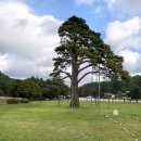 속리산보건지소 이미지