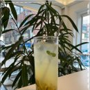 애프터파스타 이미지