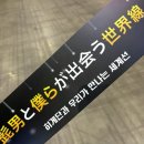 [오피셜히게단디즘 리조이스 아시아 투어 2024] 콘서트 후기 🥜