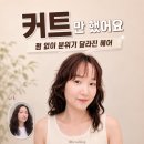 압구정미용실 인디비주얼 디스커넥트컷 후기 여자 커트잘하는 미용실