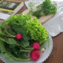 그린다이닝 이미지