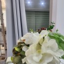 부산안마지압원 이미지