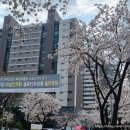 금강공인중개사무소 이미지