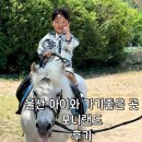 (주)우리마트 언양점 | 울산 아이와 가기 좋은 곳 울산 포니랜드 (승마체험 /먹이체험 / 주차장 )