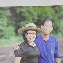 농업회사(주)해동화천와송 | [1년 전 오늘] 해동화천 와송식초로 암과 침해 치료 (HD 농업회사주)