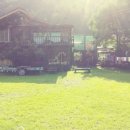 겨자씨이야기 이미지