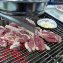 주남오리알 이미지