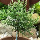 새순1농장 이미지