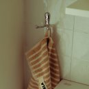 탈로 제주 이미지