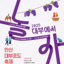 방아머리제1주차장 | 대부도 포도축제 2025 기본정보 : 주차팁, 즐길거리