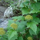 홍천휴게소 이미지