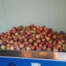 혜영농장 이미지