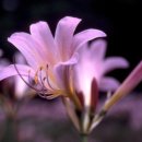 춘천시 3,4층 회의실 이미지